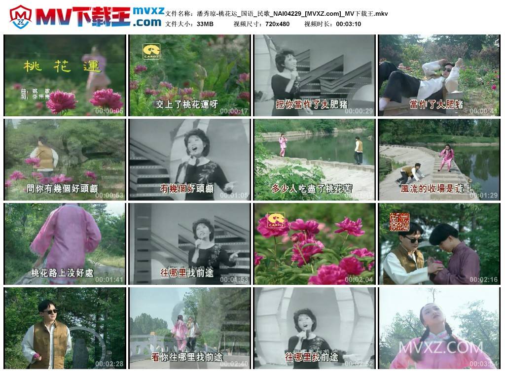 潘秀琼-桃花运_国语_民歌_NAI04229